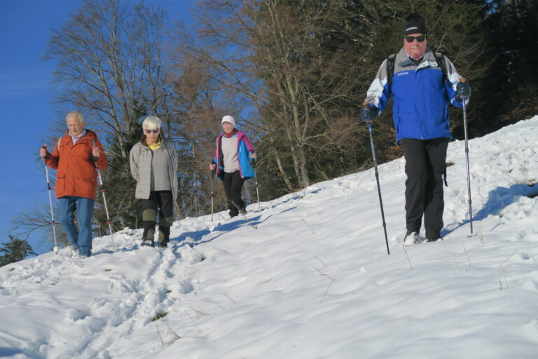 Winterwanderung am 13. Jänner in Viktorsberg - Image 4