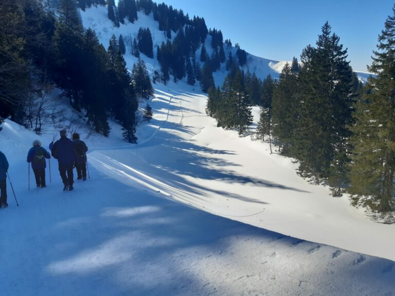 Seniorenbund Winterwanderung – Falkenhütte - Image 18