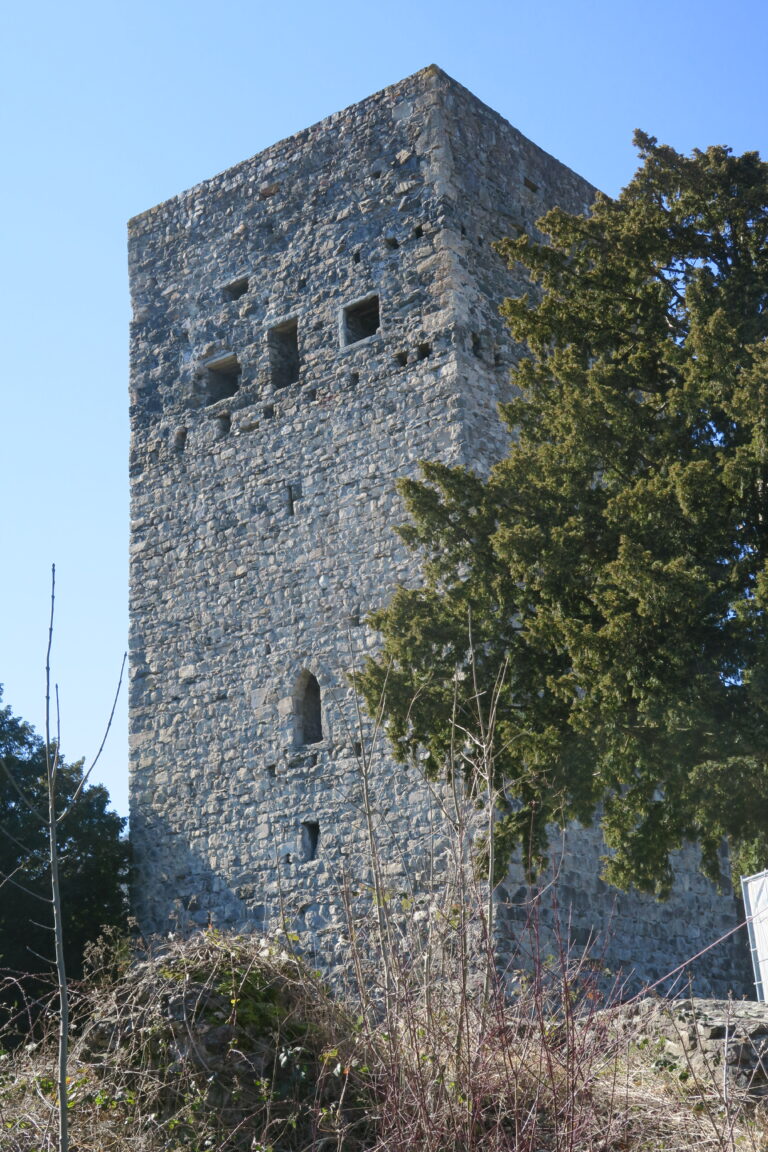 Wanderung Tostner Burg und Schellenberg - Image 1