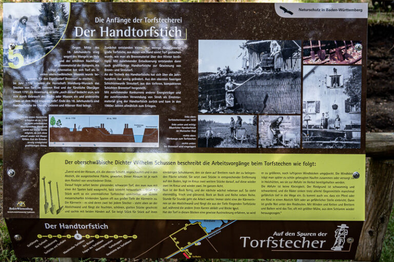 Fahrt in das Naturschutzgebiet Bad Wurzach,  am Donnerstag, den 12. Mai 2022 - Image 17