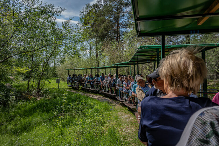 Fahrt in das Naturschutzgebiet Bad Wurzach,  am Donnerstag, den 12. Mai 2022 - Image 26