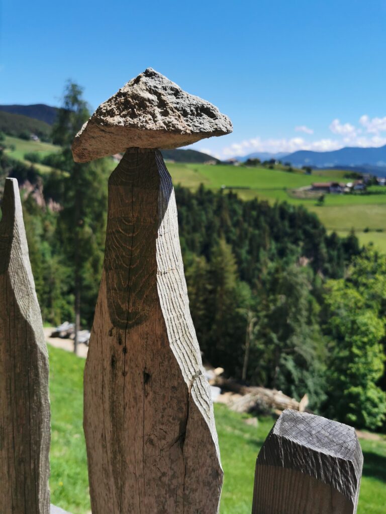 Immer eine Reise wert! – Die Senioren im schönen Südtirol - Image 33