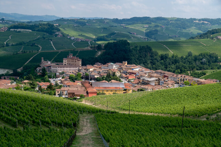 5-Tage-Reise nach Piemont – 2. Tag – Alba und Barolo - Image 18