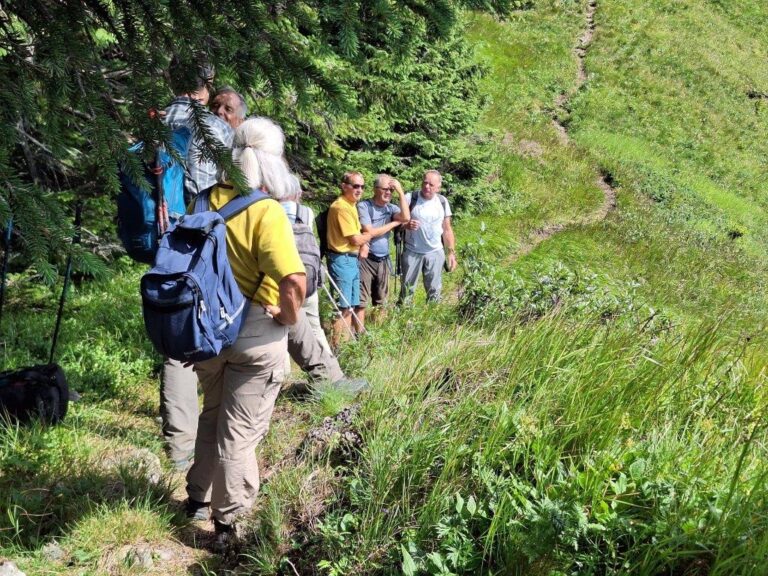 Seniorenwanderung Vorarlberg 50plus Höchst auf den Hüttenkopf im Großen Walsertal - Image 1